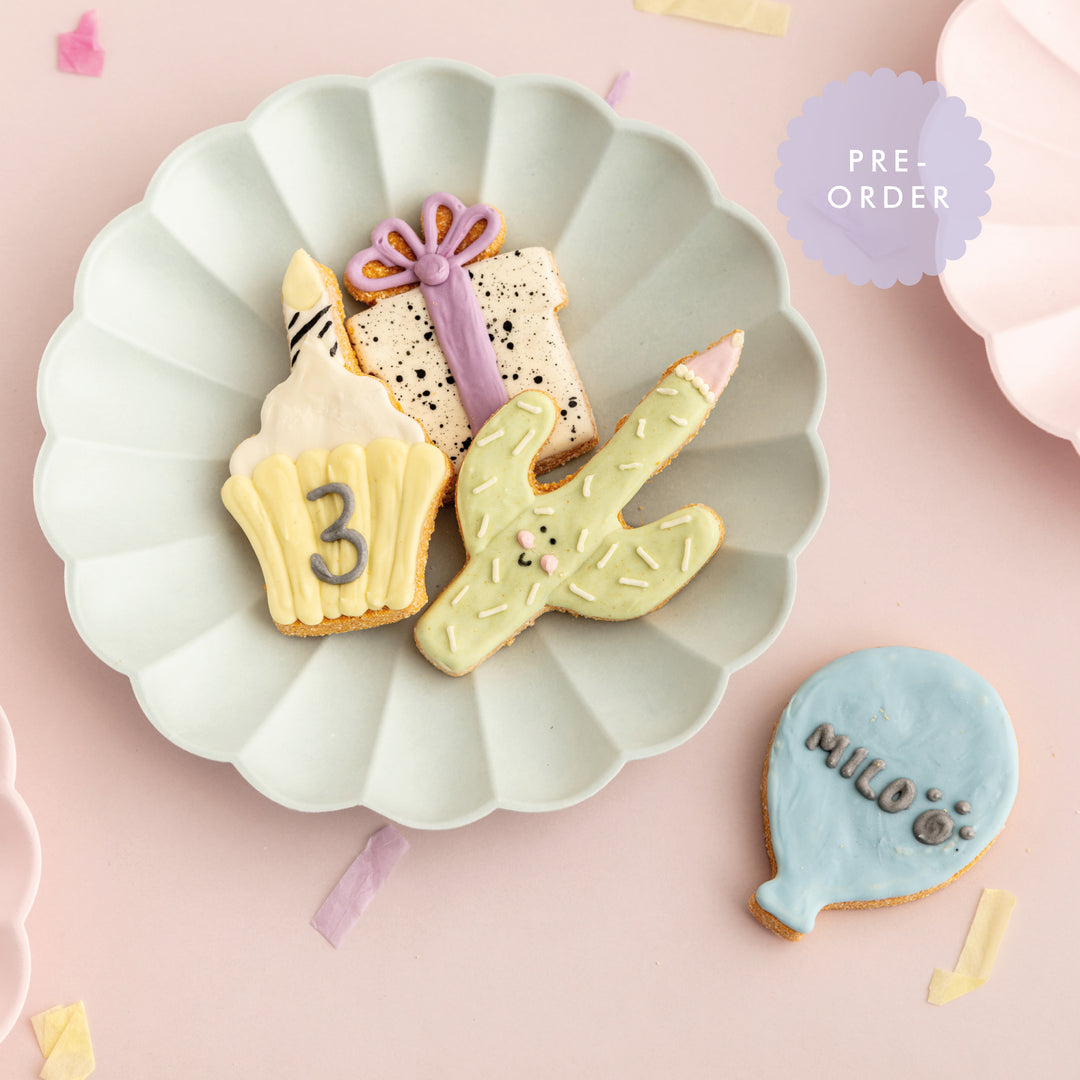 Mini Birthday Iced Dog Biscuit Set