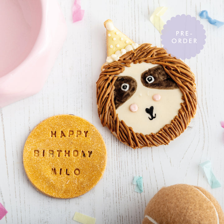 Personalised Sebastian the Sloth Celebration Iced Dog Biscuit Duo