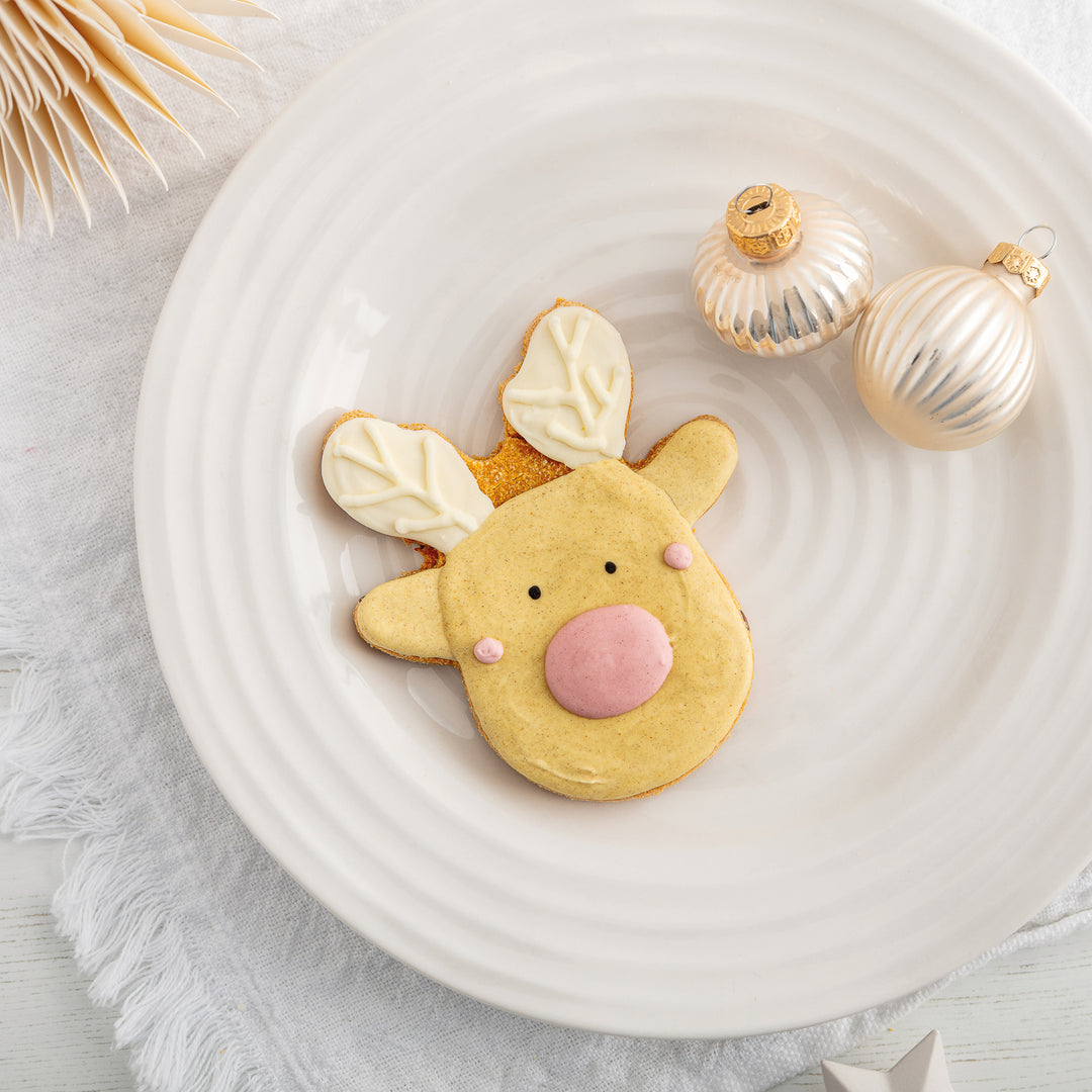 Rudolph Iced Dog Biscuit (Pre-order)