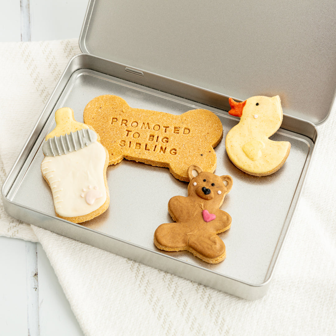 Big Sibling New Baby Iced Dog Biscuit Treat Tin