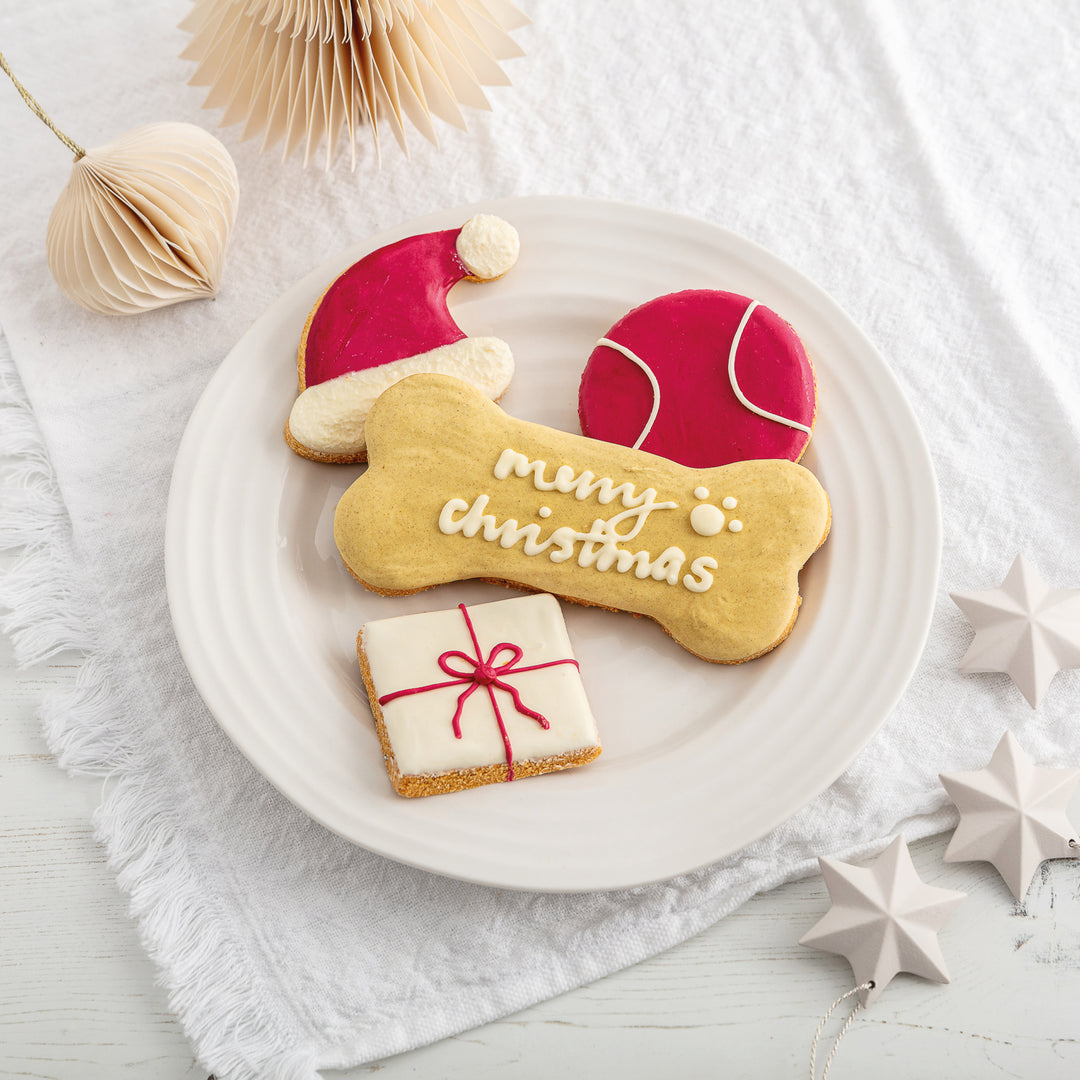 Special Delivery Christmas Iced Dog Biscuit Set (Pre-order)