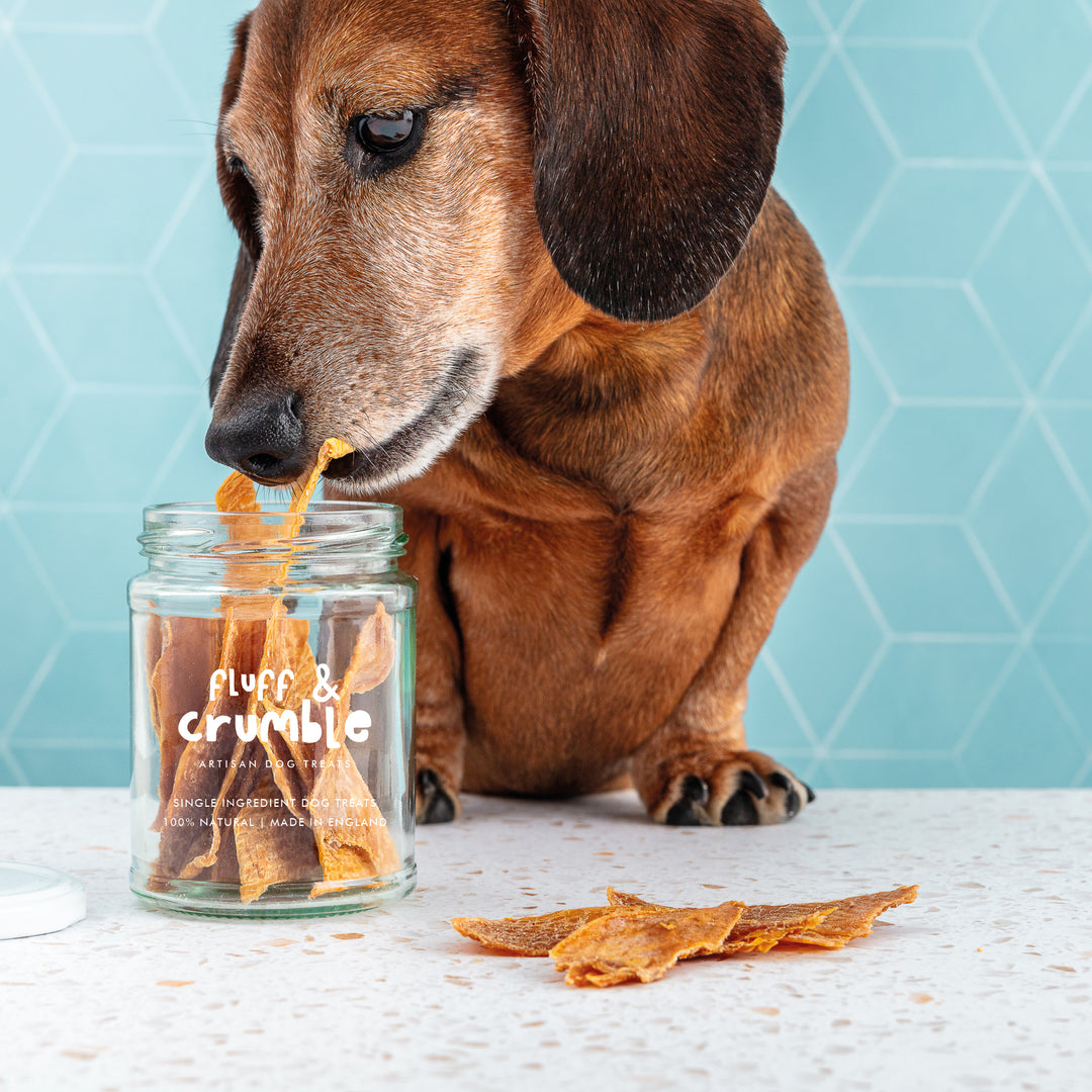 Luxury Squid Crispies Single Ingredient Dog Treat Jar