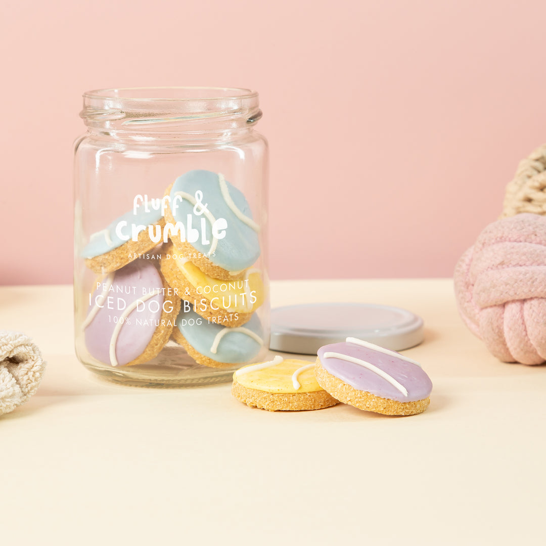 Tennis Balls Iced Dog Biscuit Jar