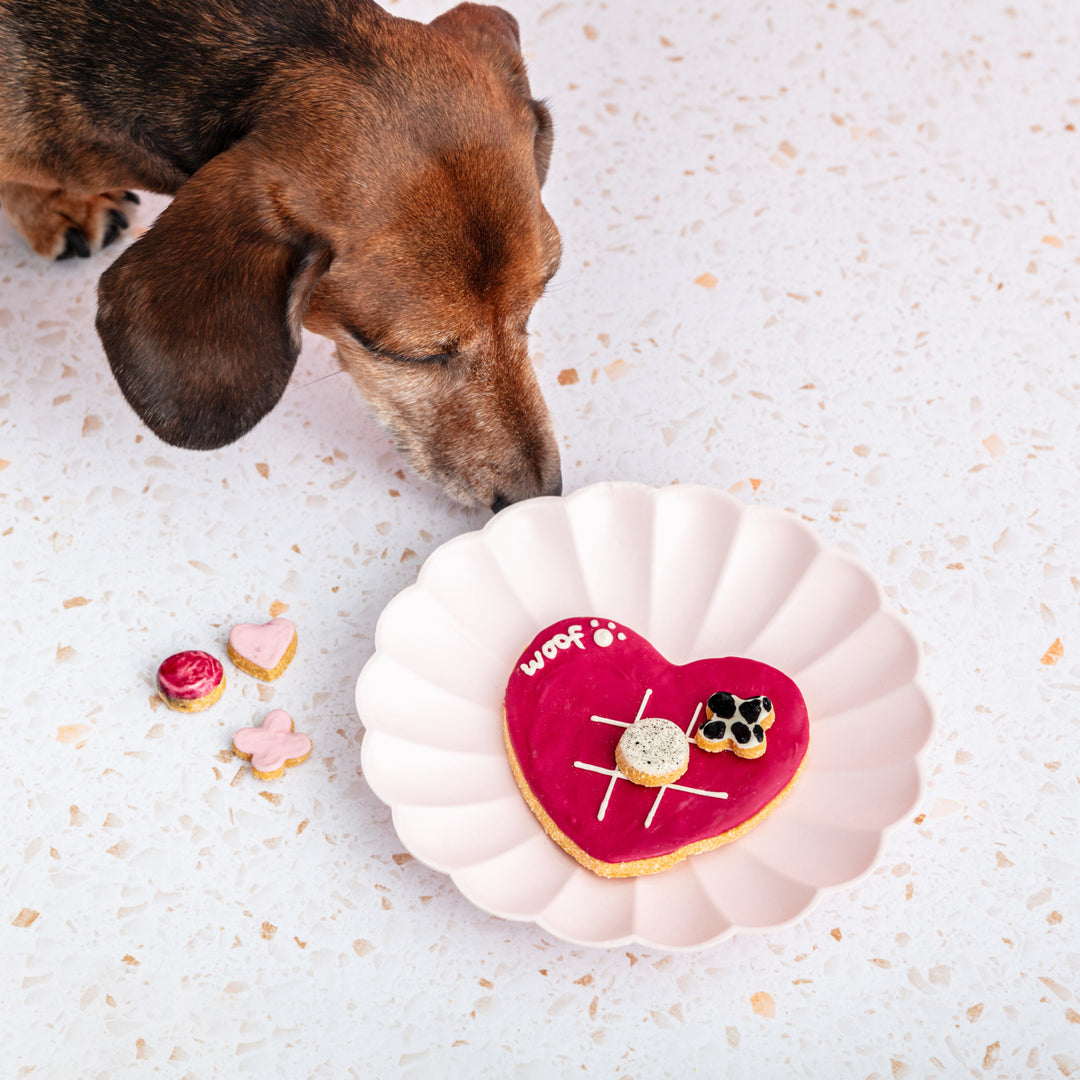 Tic-Tac-Toe Valentine's Iced Dog Biscuit Board Set
