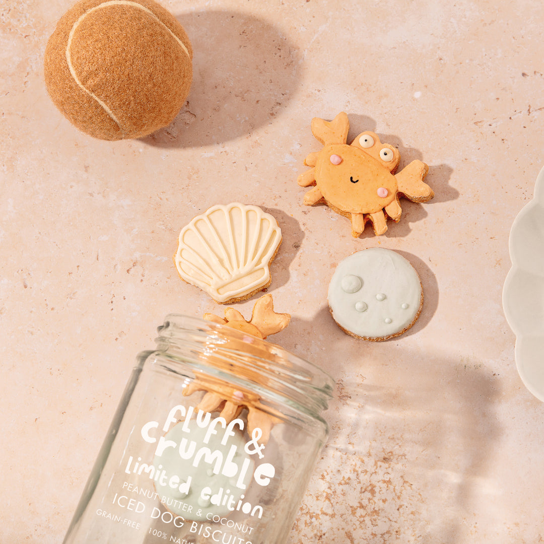 Deep Blue Sea Iced Dog Biscuit Jar