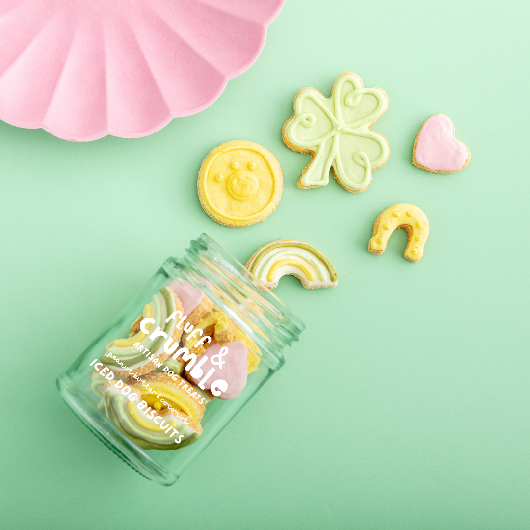 St. Patrick s Day Lucky Charms Iced Dog Biscuit Jar