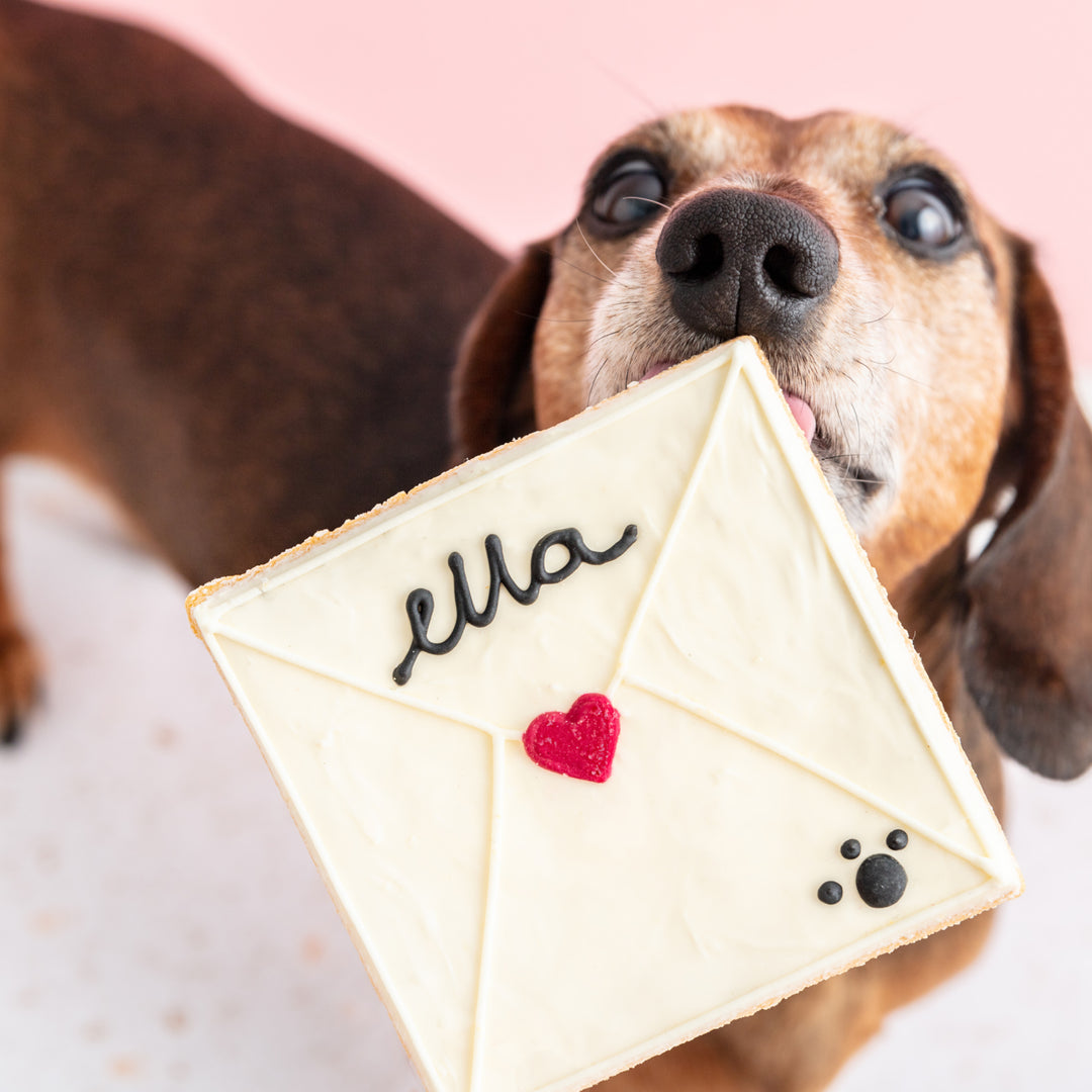 Personalised Giant Valentine's Envelope Iced Dog Biscuit