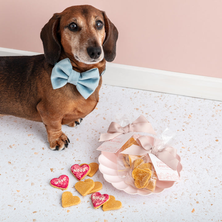 Wedding Favour Dog Biscuit Hearts (Naked)