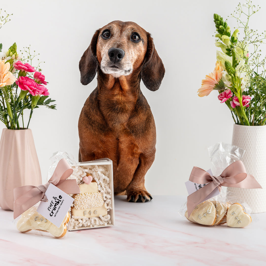 Wedding Favour Iced Dog Biscuits
