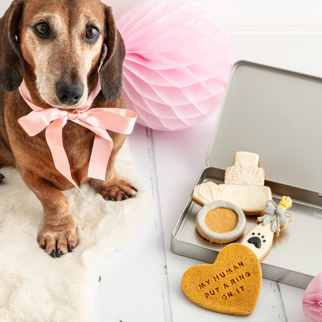 Wedding Iced Dog Biscuit Treat Tin