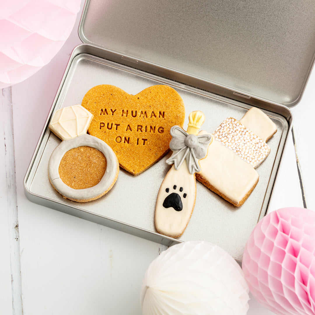 Wedding Iced Dog Biscuit Treat Tin