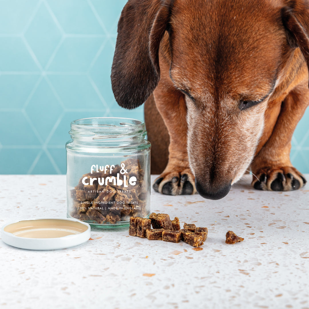 Luxury Wild Boar Bites Single Ingredient Dog Treat Jar