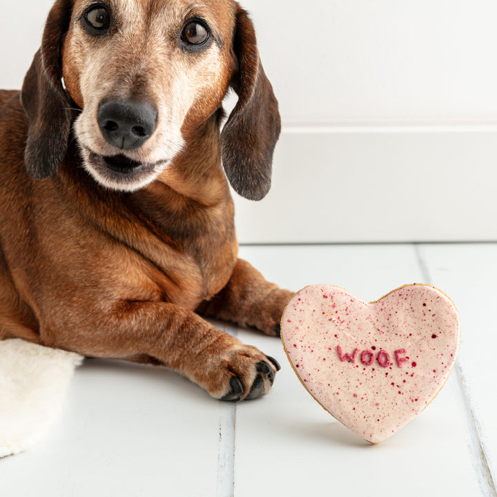 Woof Heart Iced Dog Biscuit