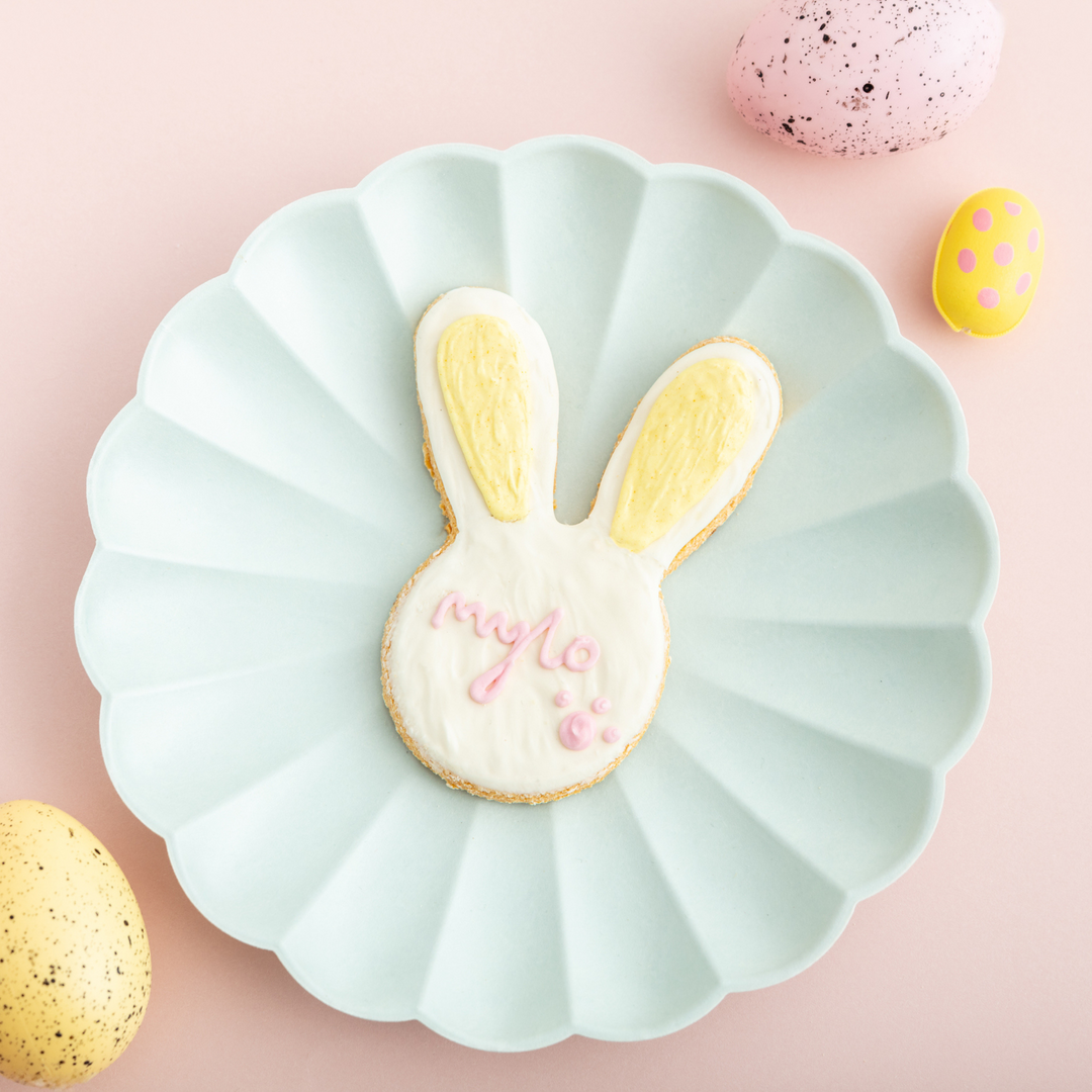 Personalised Iced Dog Biscuit Easter Bunny