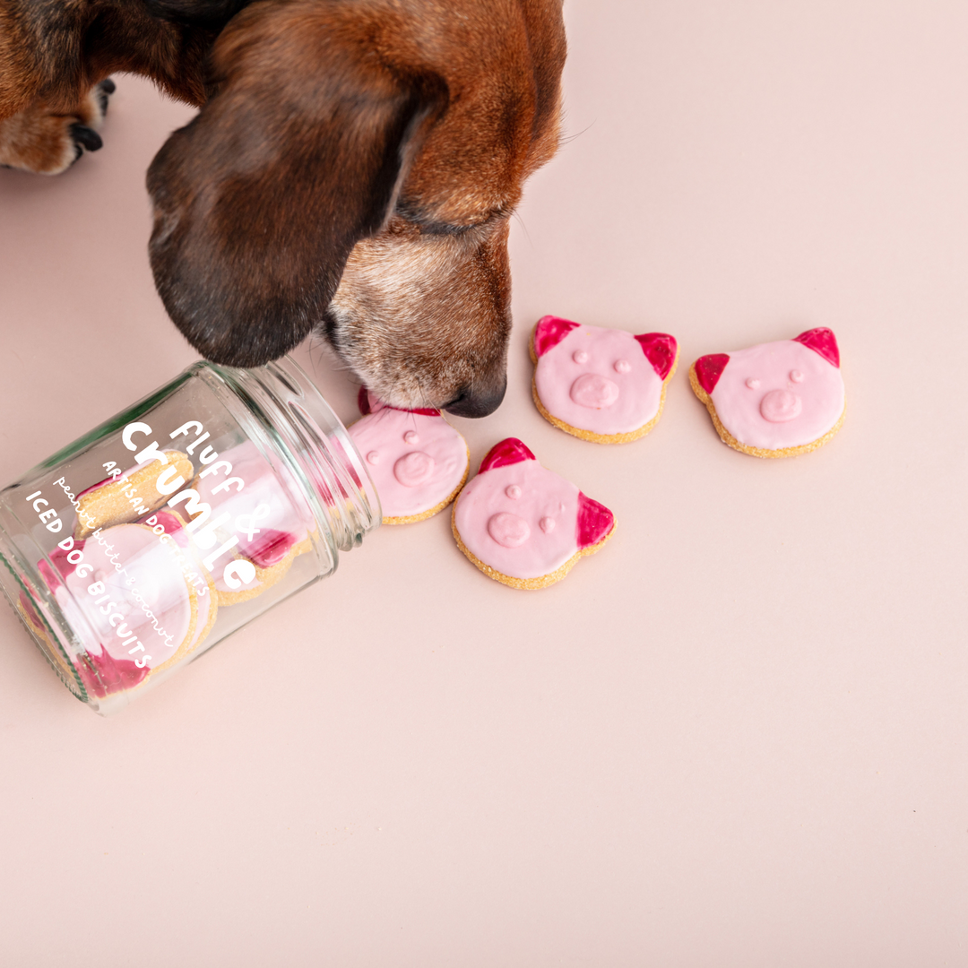 Paula Pig Iced Dog Biscuit Jar