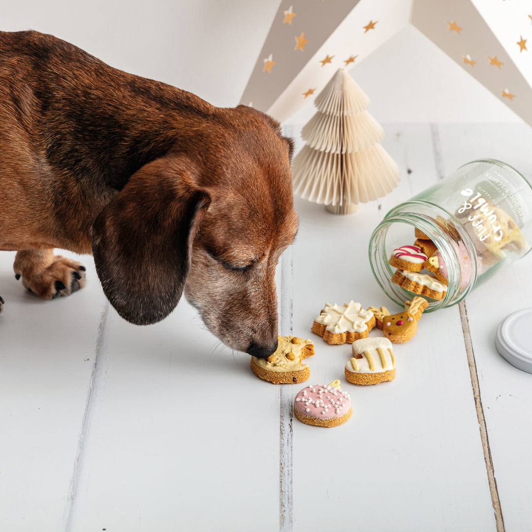 Christmas Minis Iced Dog Biscuit Jar (Pre-order)