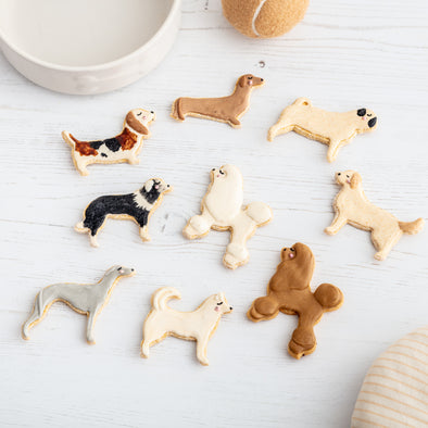 Create Your Own Best in Show Mini Iced Dog Biscuit Set