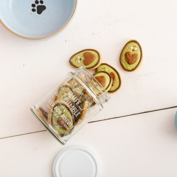 Mini Alan the Avocado Iced Dog Biscuit Jar