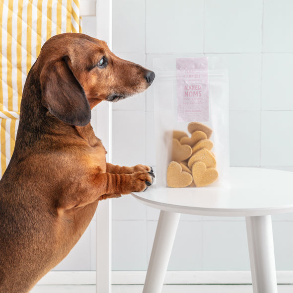 Naked Noms Peanut Butter & Coconut Dog Biscuit Hearts