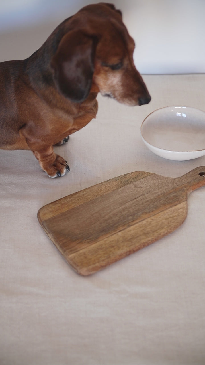 Charcuterie Board Iced Dog Biscuit Set