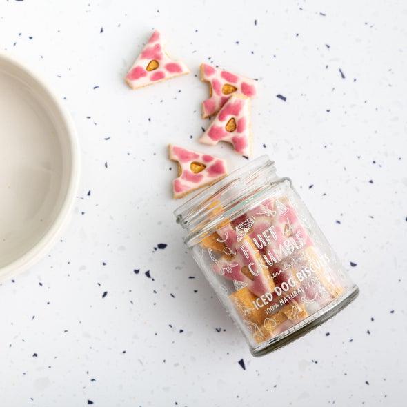 A-Z Initial Iced Dog Biscuit Jar in Pink Blush