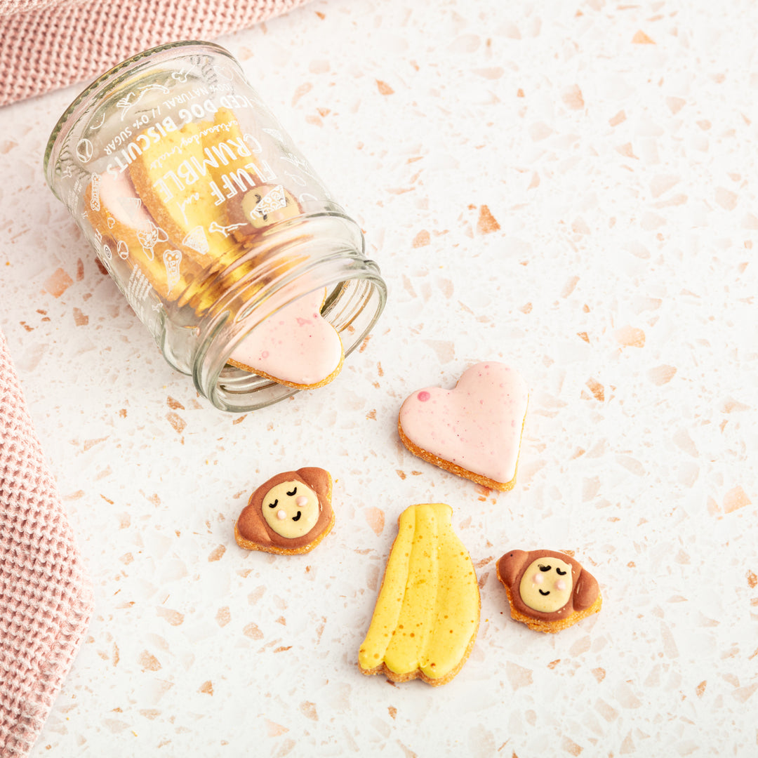 Bananas for You Iced Dog Biscuit Jar