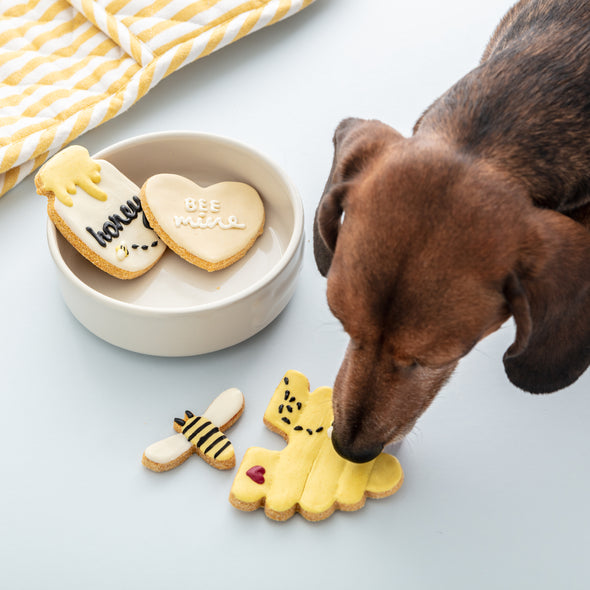 Bee Mine Spring Time Iced Dog Biscuit Set