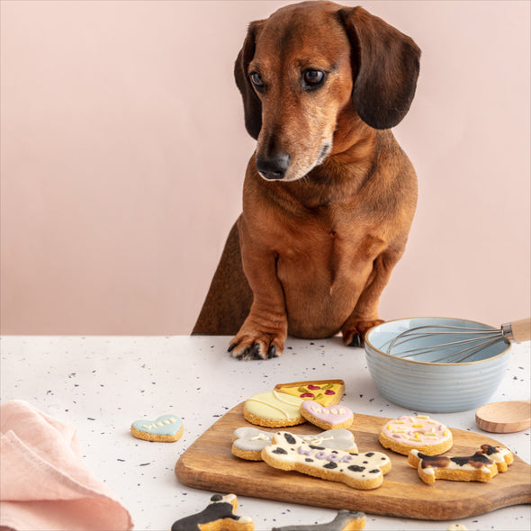 Create Your Own Dog Biscuit Set