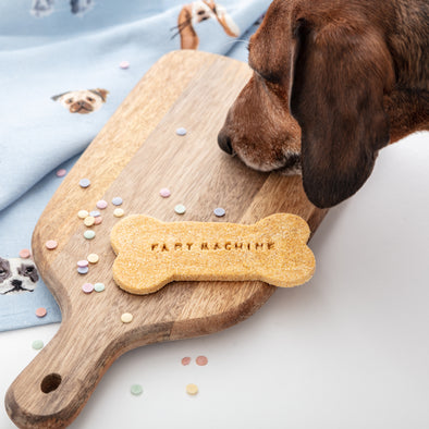 Fart Machine Bad Dog Biscuit Bone