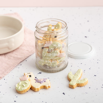 Llama & Cactus Party Iced Dog Biscuit Jar