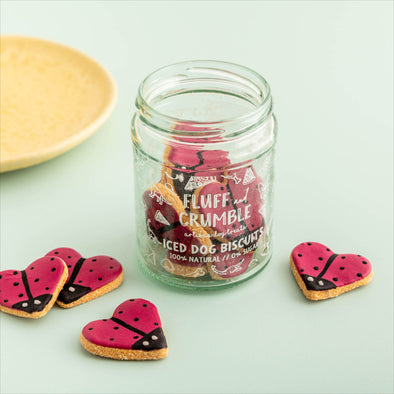 You're My Love Bug Iced Dog Biscuit Jar
