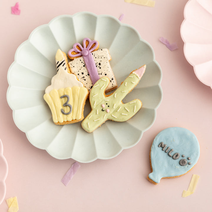 Mini Birthday Iced Dog Biscuit Set