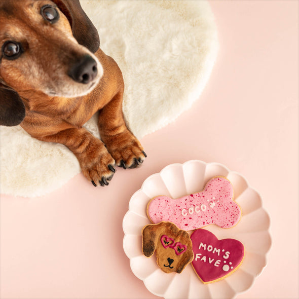 Someone's Fave Personalised Iced Dog Biscuit Set