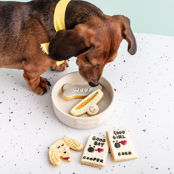 Personalised Good Boys/Girls List Iced Dog Biscuit Set