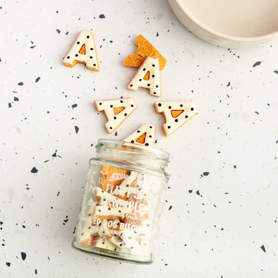A-Z Initial Iced Dog Biscuit Jar in Polka Dot