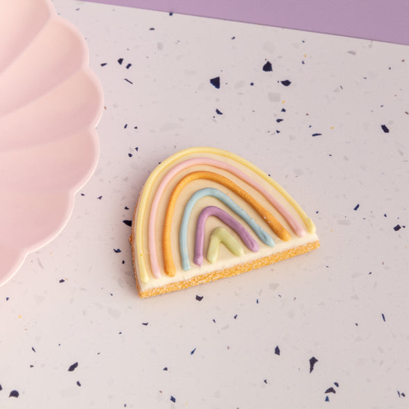 Rainbow Iced Dog Biscuit