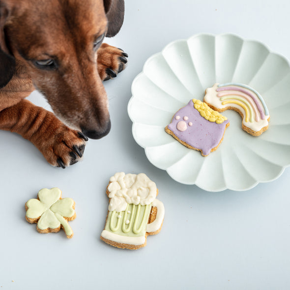 St. Patrick's Day Iced Dog Biscuit Set
