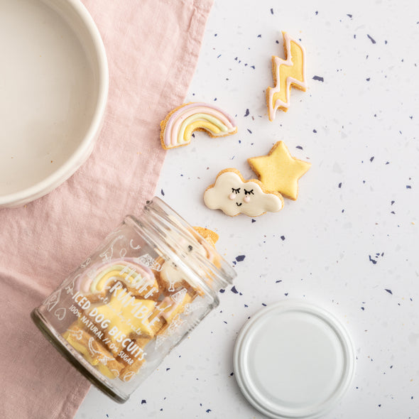 Underneath the Stars Iced Dog Biscuit Jar